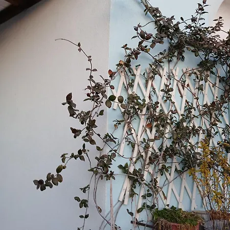 Athina Apartment Thessaloniki Exterior photo